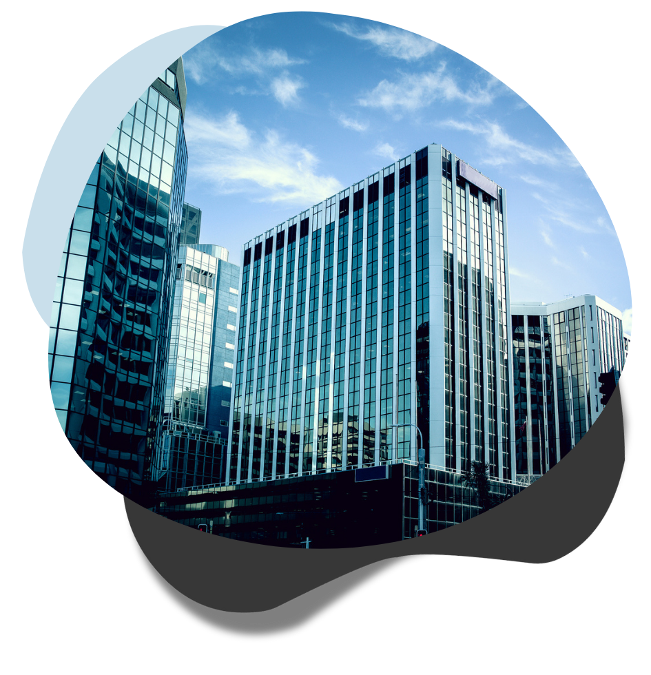 wellington city buildings