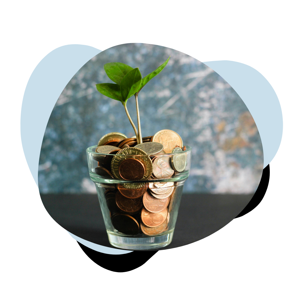 jar full of coins with a plant growing from the coins